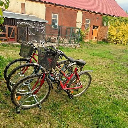 Malinowy Gaj - Agroturystyka Z Alpakami I Innymi Zwierzetami Swietajno  외부 사진