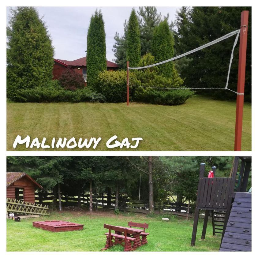 Malinowy Gaj - Agroturystyka Z Alpakami I Innymi Zwierzetami Swietajno  외부 사진