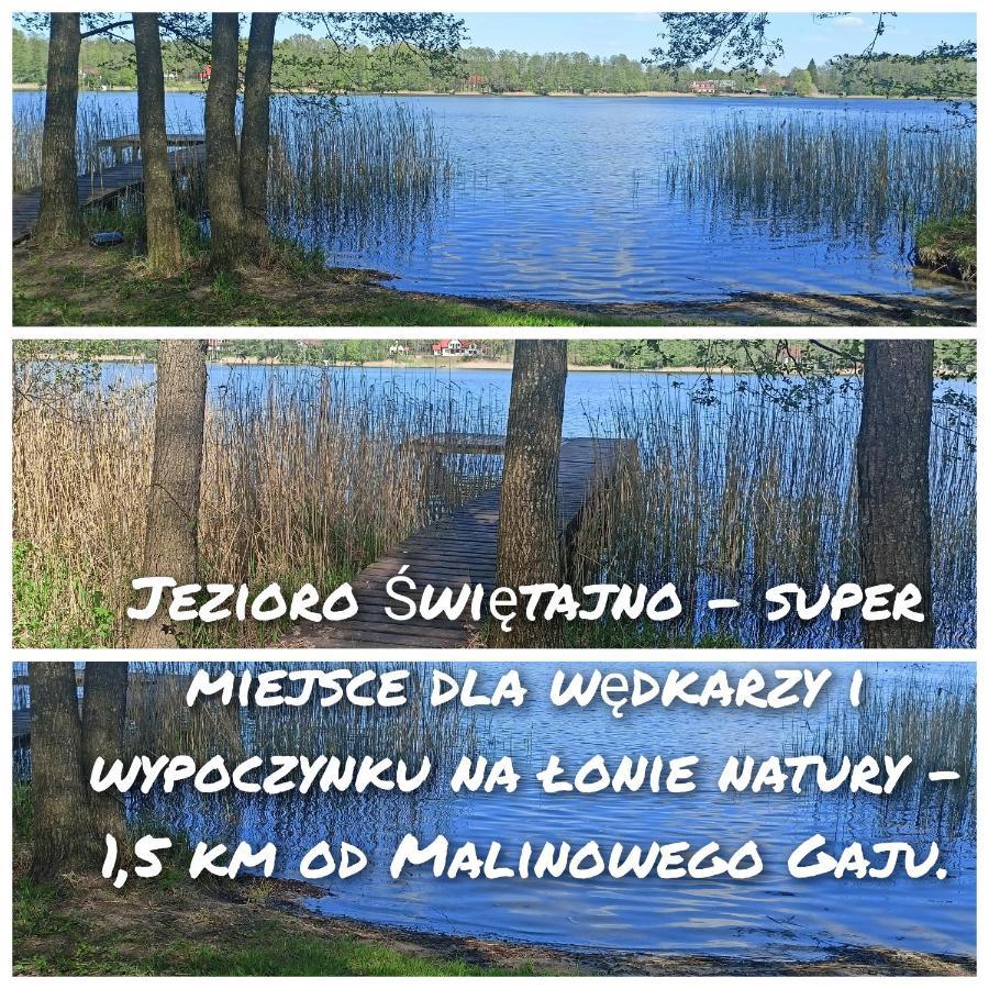 Malinowy Gaj - Agroturystyka Z Alpakami I Innymi Zwierzetami Swietajno  외부 사진