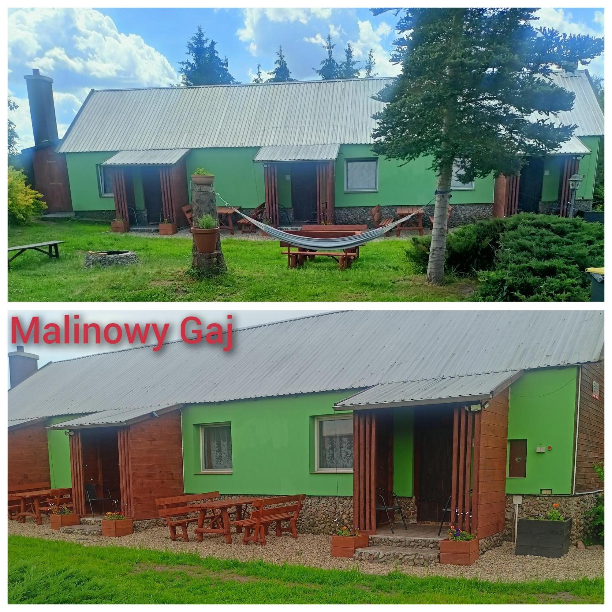 Malinowy Gaj - Agroturystyka Z Alpakami I Innymi Zwierzetami Swietajno  외부 사진